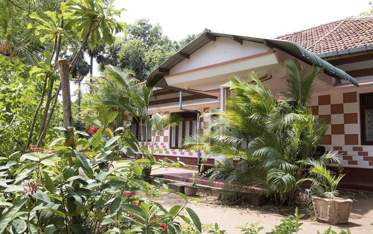 Neem Beach House Trikunamalaja Zewnętrze zdjęcie